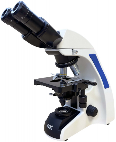 8d26ec46-cf36-11ef-9d2e-000c29e1040d